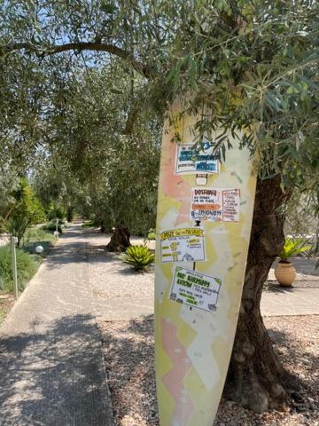 Kalimera דירה *