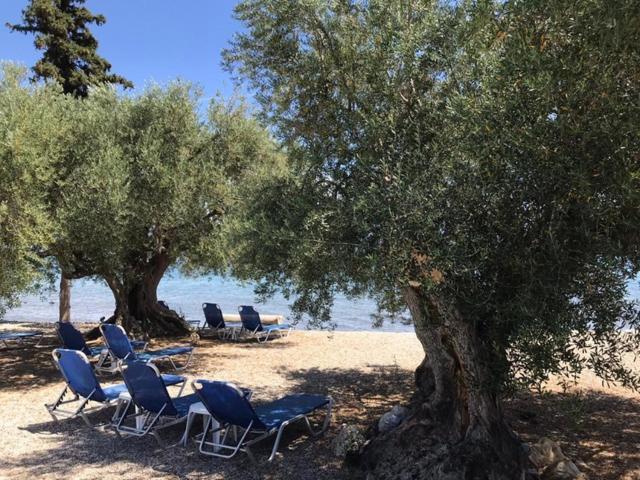 Kalimera * Kivérion